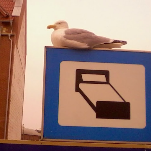 Zdjęcie profilowe autorki opinii Google: Agata z Krakowa
