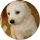 Zdjęcie profilowe autorki opinii Google: Kas Żu